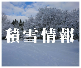 積雪情報